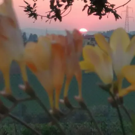 Rosso Di Sera Casa Vacanze Апартаменты Озимо